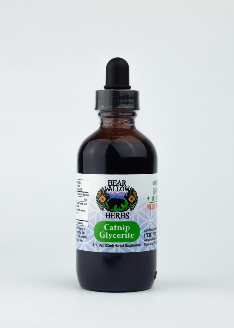 Catnip Glycerite
