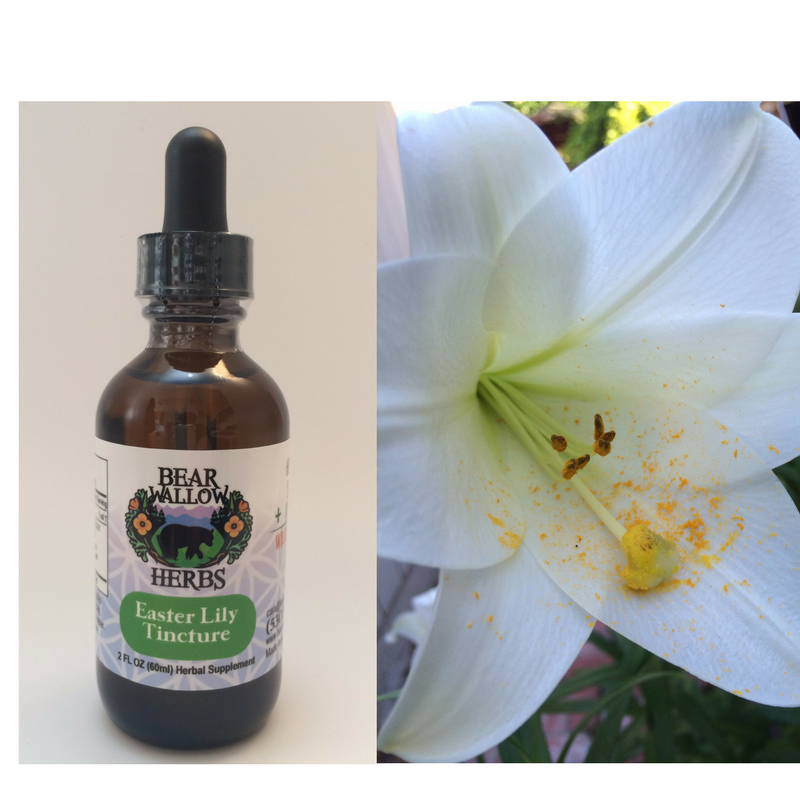 Easter Lily flower essence and tincture