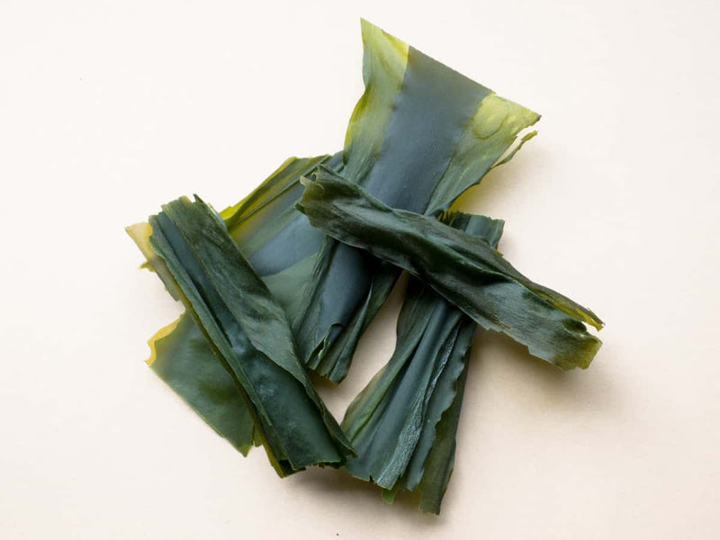 Kelp Seaweed