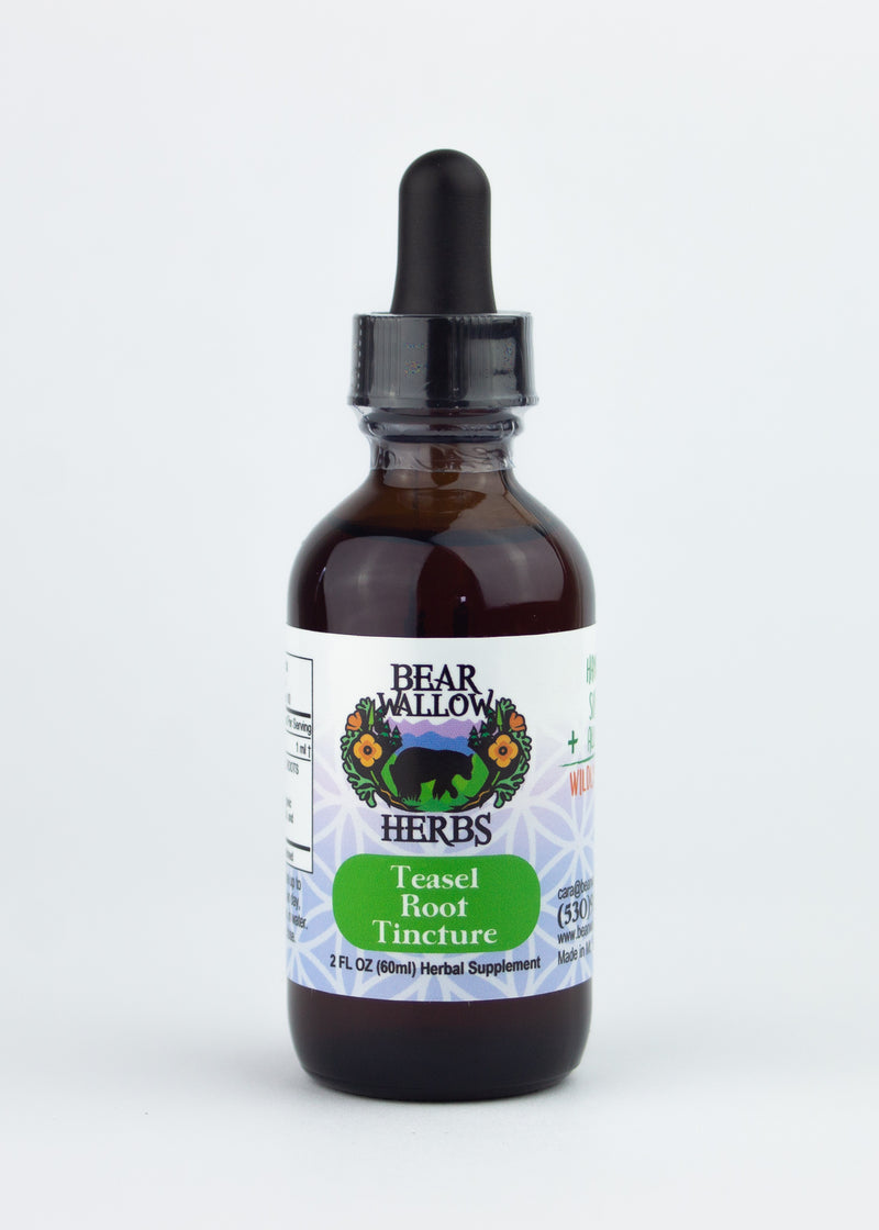 Teasel Root Tincture